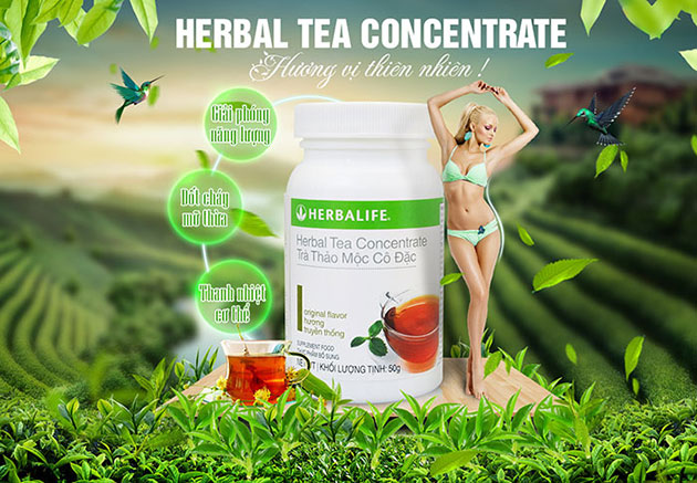 Herbalife Tea Concentrate