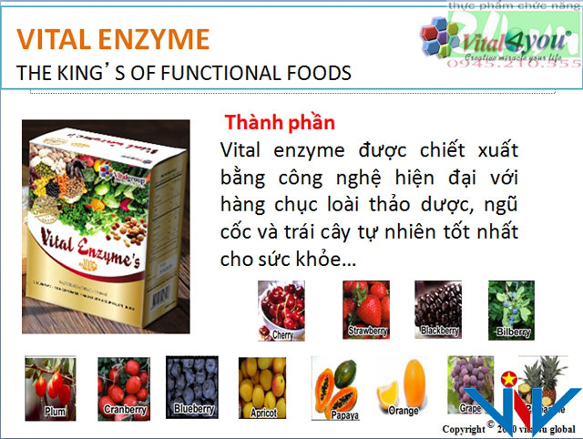 Thành phần của Vital Enzyme
