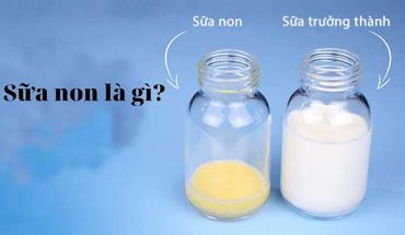 Sữa non là sản phẩm sữa trong cơ thể mẹ khi mới sinh, hiện nay có rất nhiều những sản phẩm sữa non tốt ngoài thị trường