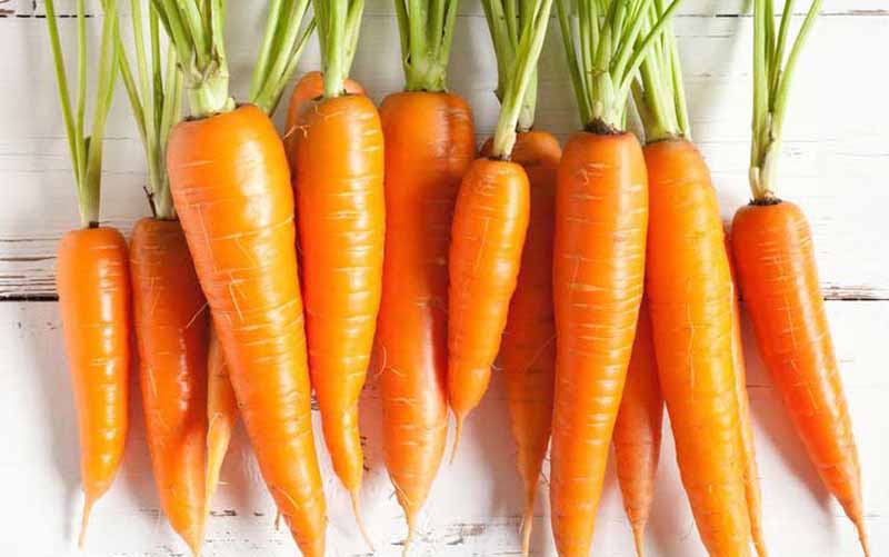 Cà rốt là thực phẩm thải độc gan an toàn