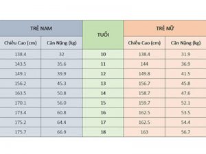 Bảng chiều cao chuẩn ở tuổi 13 của nam và nữ