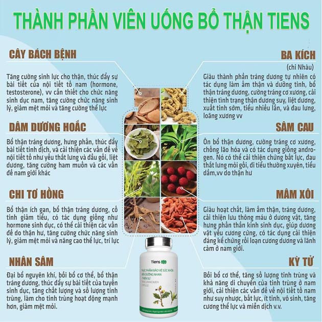 Thành phần viên bổ thận Thiên Sư